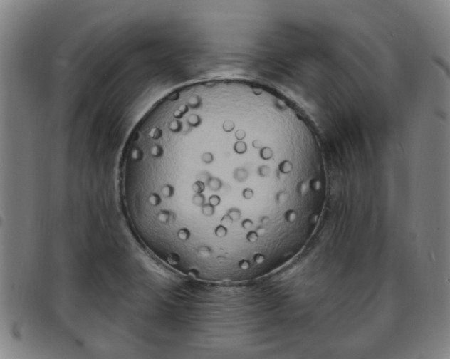 X0000097491423200803071729