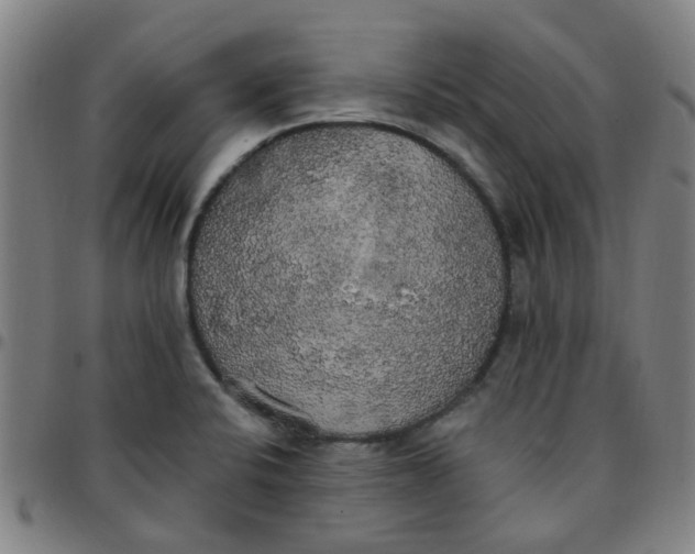 X0000097491424200803071729