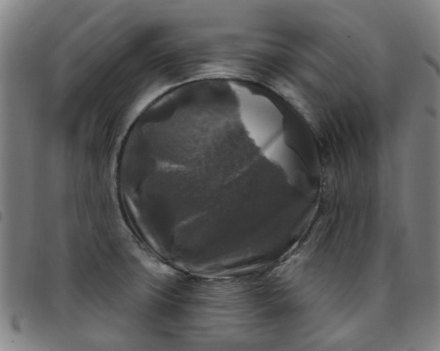 X0000097491427200803071729