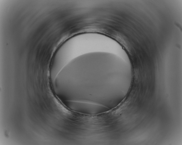 X0000097491428200803071729