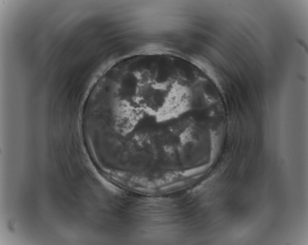 X0000097491429200803071729