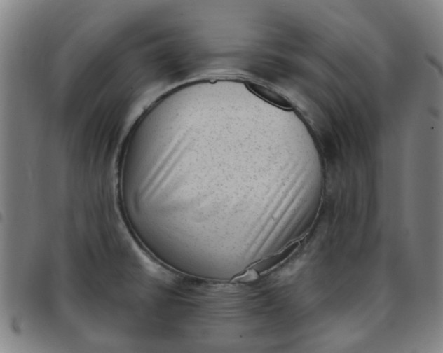 X0000097491430200803071729