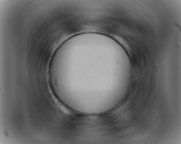 X0000097491431200803071729