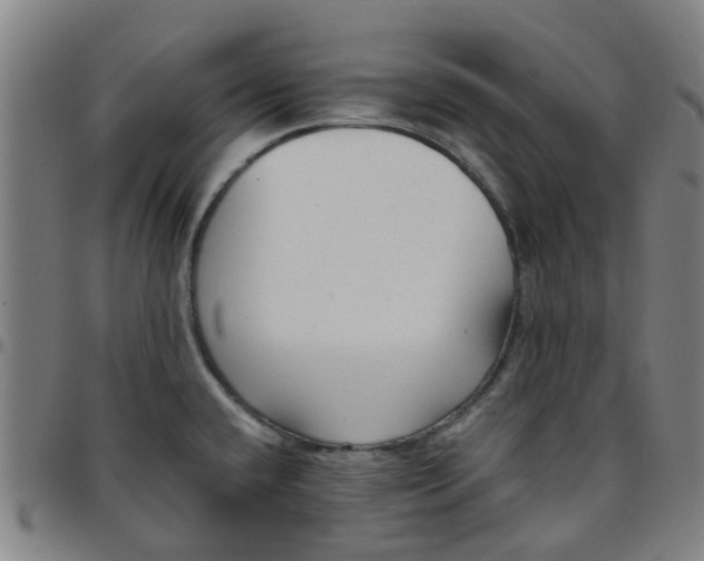 X0000097491432200803071729