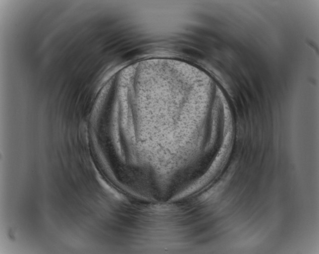 X0000097491433200803071729