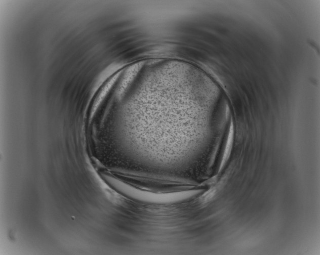 X0000097491434200803071729