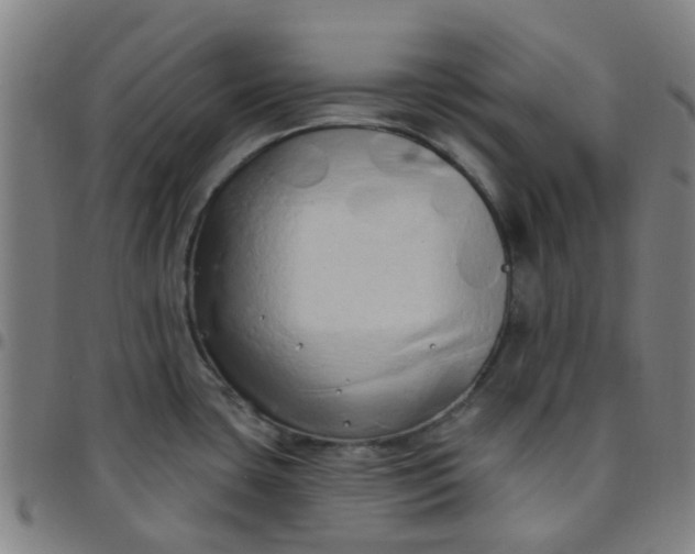 X0000097491435200803071729