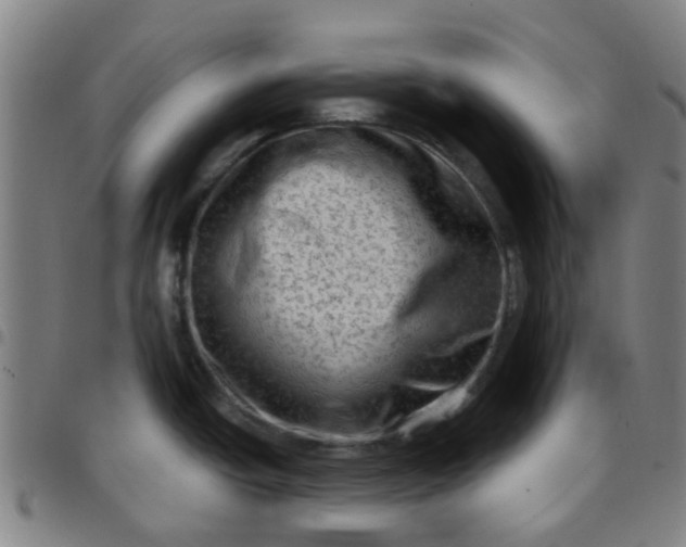 X0000097491438200803071729