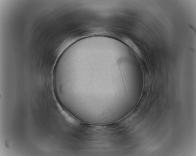 X0000097491439200803071729