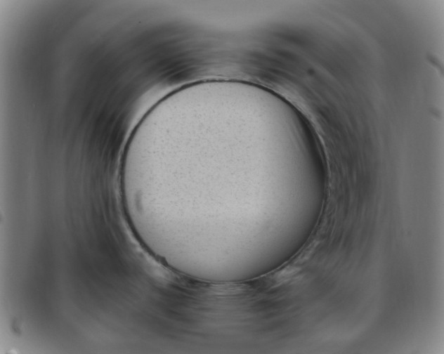 X0000097491440200803071729