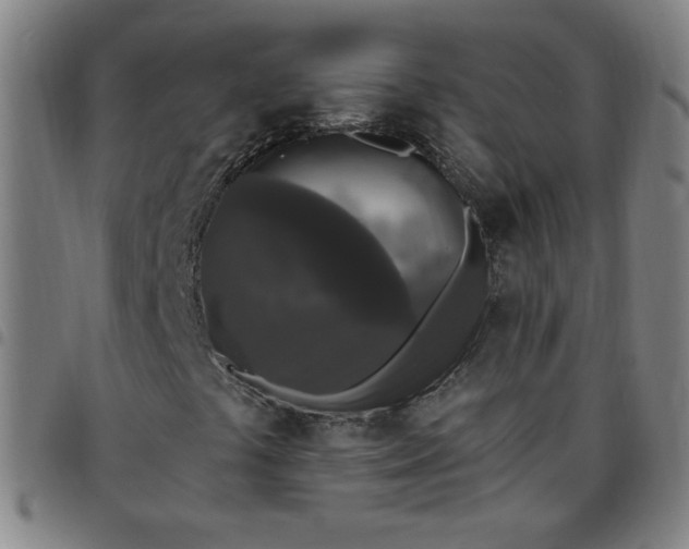 X0000097491441200803071728