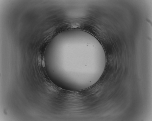 X0000097491442200803071728