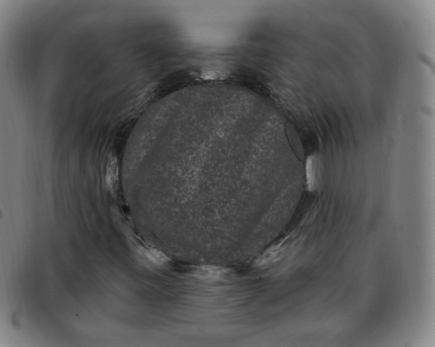 X0000097491443200803071728