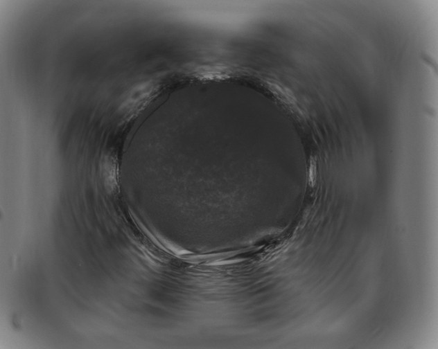 X0000097491444200803071728