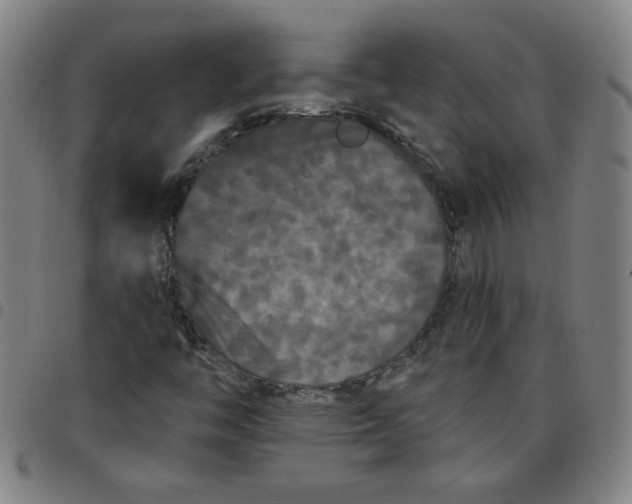 X0000097491446200803071728