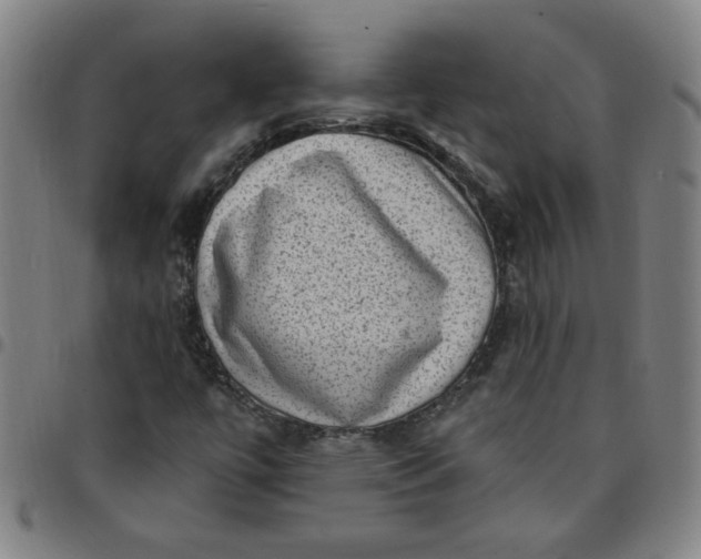 X0000097491447200803071728