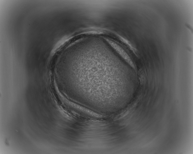 X0000097491448200803071728