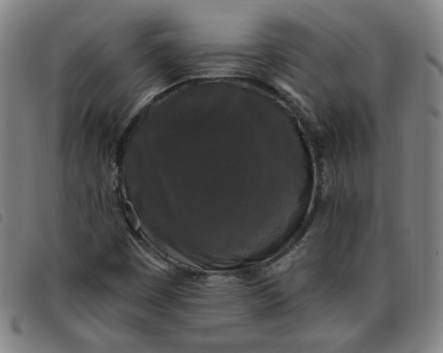 X0000097491449200803071728