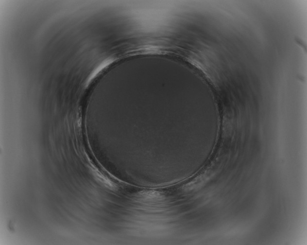 X0000097491450200803071728