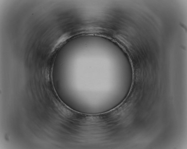 X0000097491451200803071728