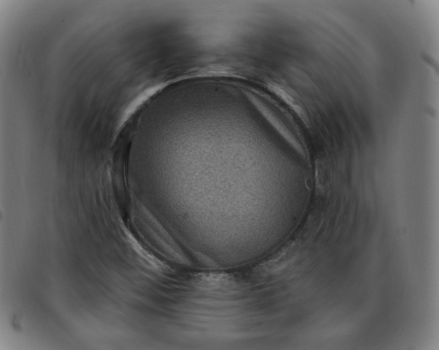 X0000097491452200803071728