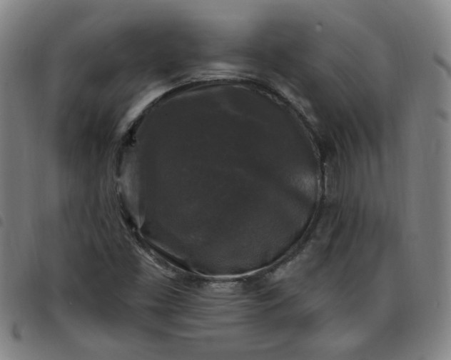 X0000097491453200803071728