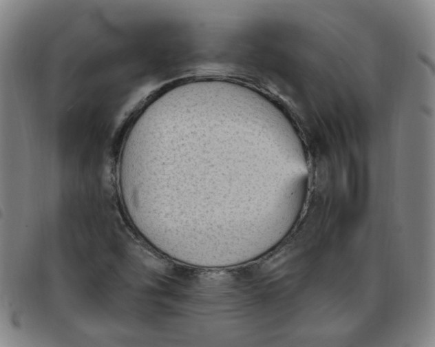 X0000097491454200803071728