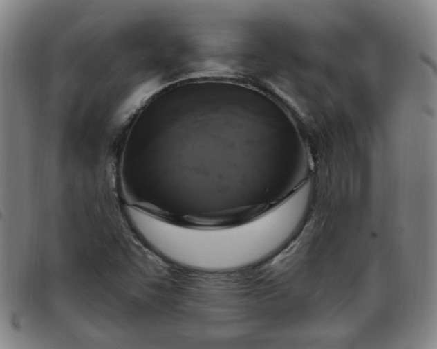 X0000097491455200803071728