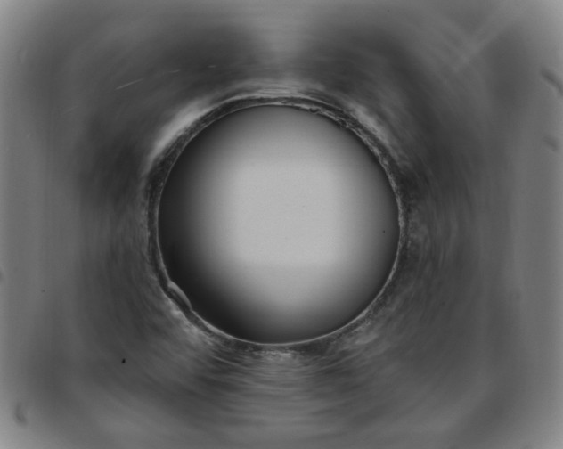 X0000097491456200803071728