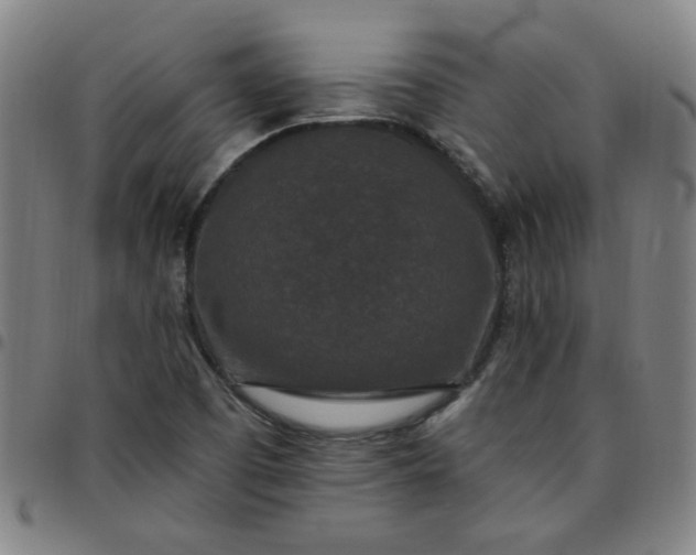 X0000097491457200803071728