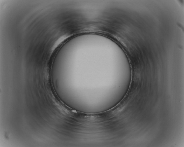 X0000097491458200803071728