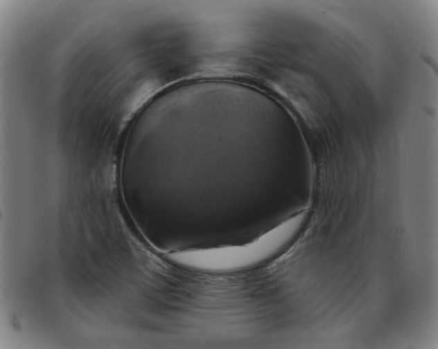 X0000097491459200803071728