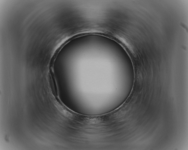 X0000097491460200803071728