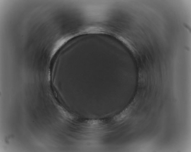 X0000097491461200803071728