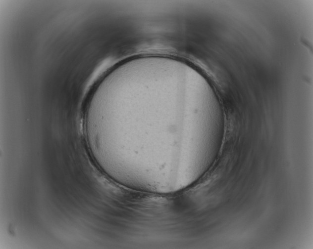 X0000097491462200803071728