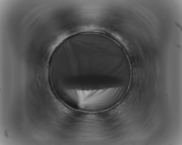 X0000097491463200803071728