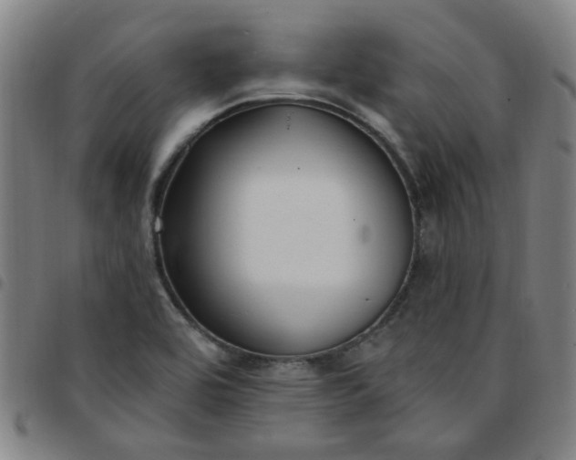 X0000097491464200803071728