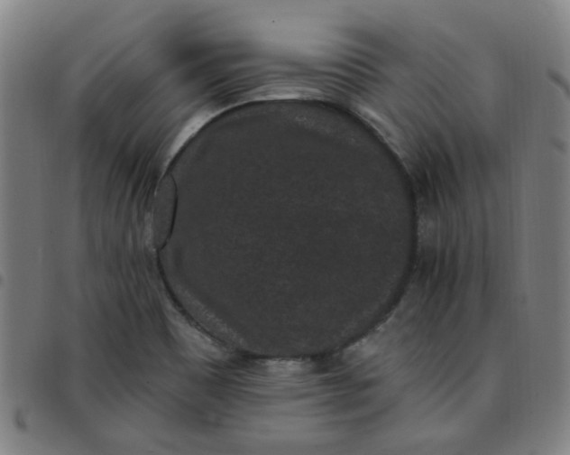 X0000097491465200803071728