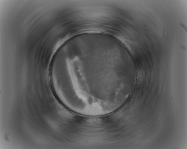 X0000097491466200803071728