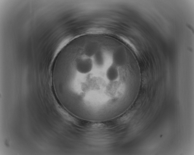 X0000097491467200803071728