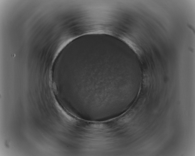 X0000097491468200803071728