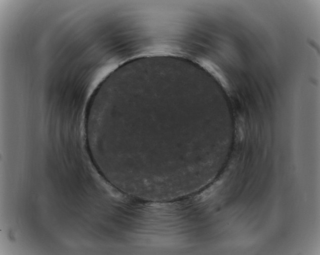 X0000097491469200803071728