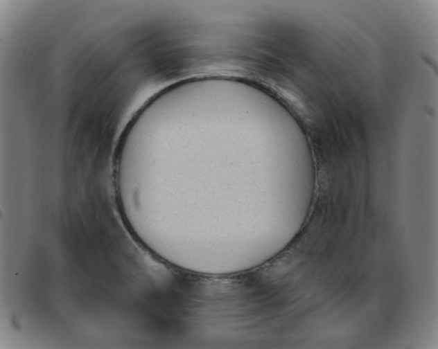 X0000097491470200803071728