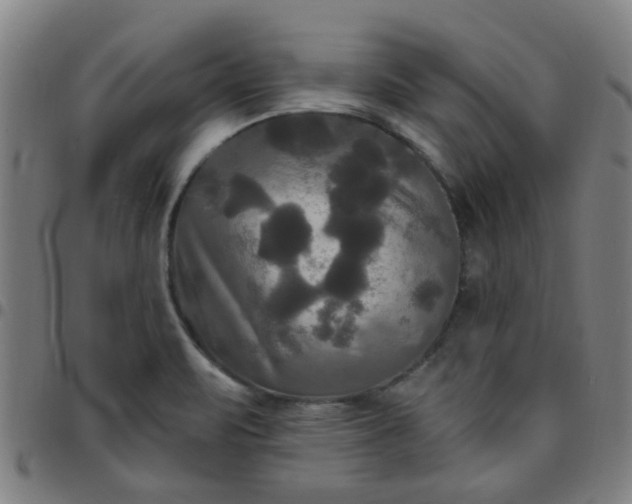 X0000097491471200803071728