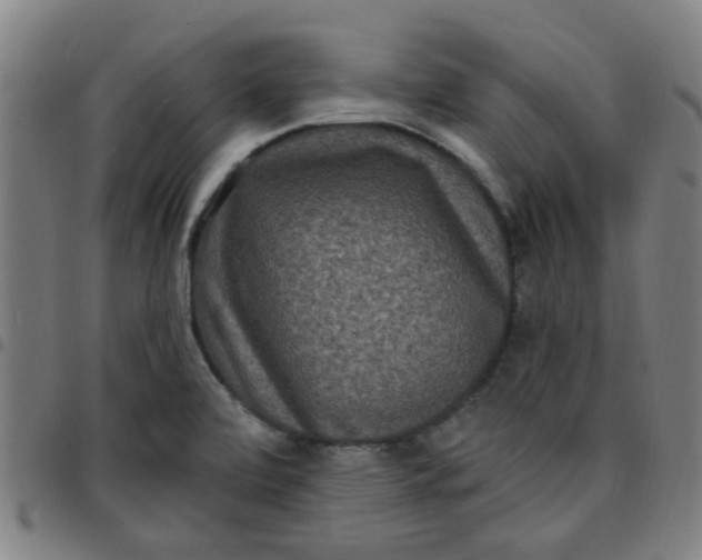 X0000097491472200803071728