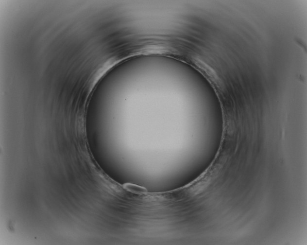 X0000097491473200803071728