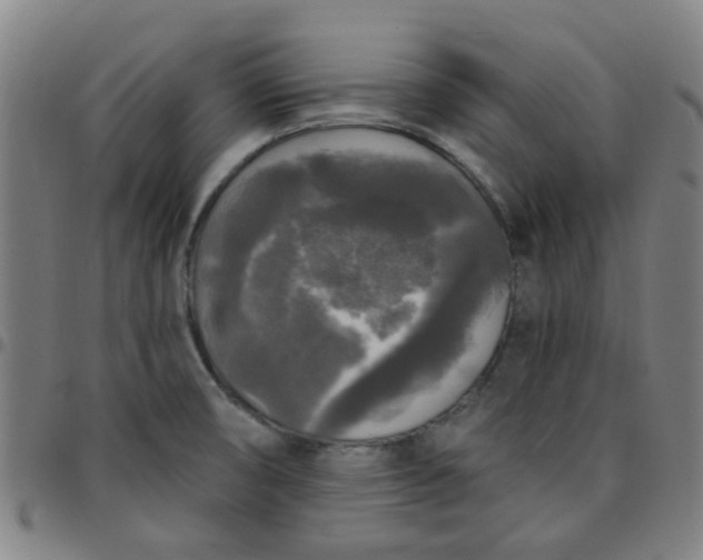 X0000097491474200803071728