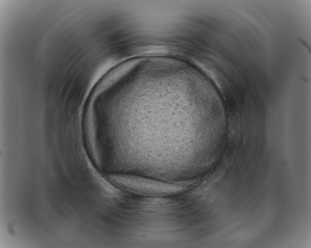 X0000097491475200803071728