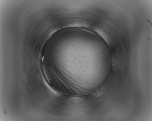 X0000097491476200803071728