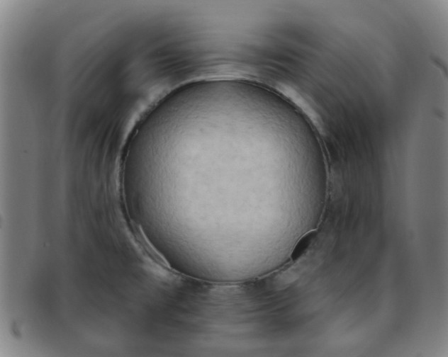 X0000097491477200803071728